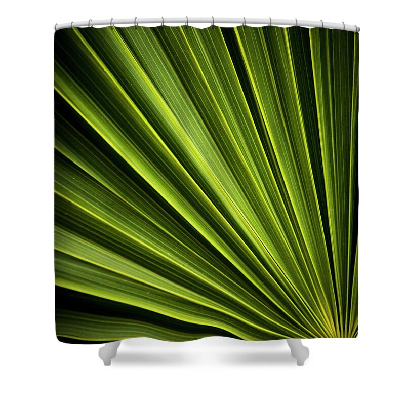 Relief Shower Curtain featuring the photograph Leaf #1 by Instants