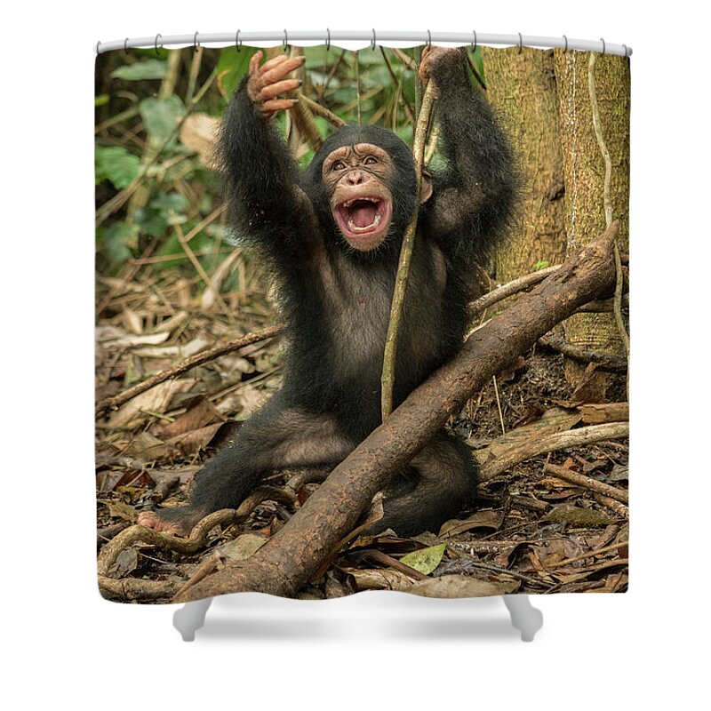 Gerry Ellis Shower Curtain featuring the photograph Little Larry Playing In Forest #1 by Gerry Ellis