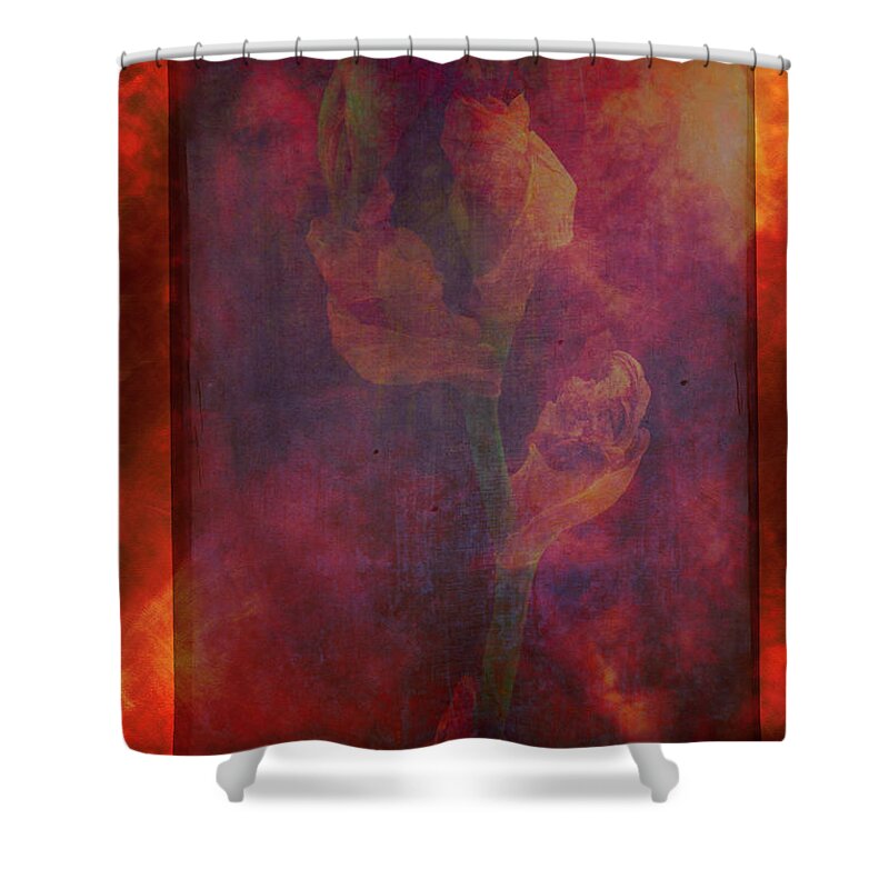 Julia Cameron Awards Shower Curtain featuring the photograph Mirrors by Cynthia Dickinson