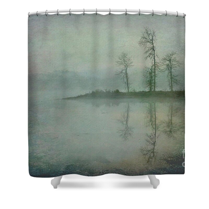 Fog Shower Curtain featuring the photograph Misty Tranquility #1 by Ken Johnson