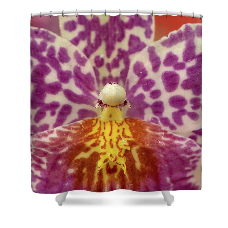 Flower Shower Curtain featuring the photograph Orchid #1 by Minnie Gallman