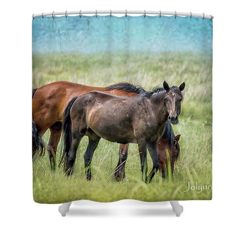  Shower Curtain featuring the photograph Osage Horses #2 by Jolynn Reed