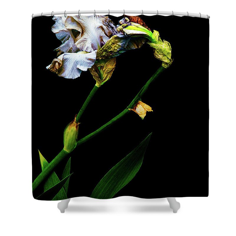Fine Art Photography Shower Curtain featuring the photograph Penetrate the Magical by Cynthia Dickinson
