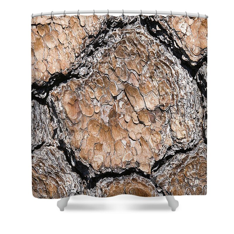 Natural Pattern Shower Curtain featuring the photograph Pine Bark Closeup #1 by Donald E. Hall