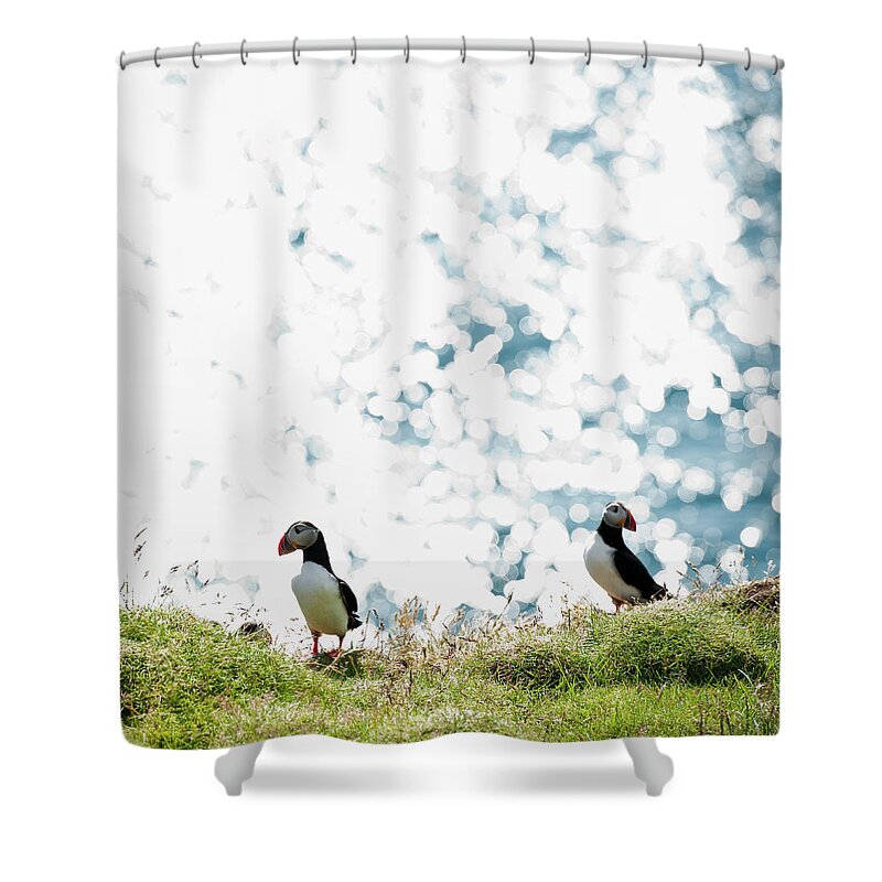 Grass Shower Curtain featuring the photograph Puffin And Sea #1 by Roine Magnusson