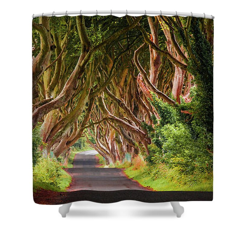 Estock Shower Curtain featuring the digital art Road Under Trees #1 by Olimpio Fantuz