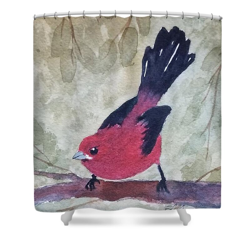 Red Bird Shower Curtain featuring the painting Scarlet Tanager #1 by Elise Boam