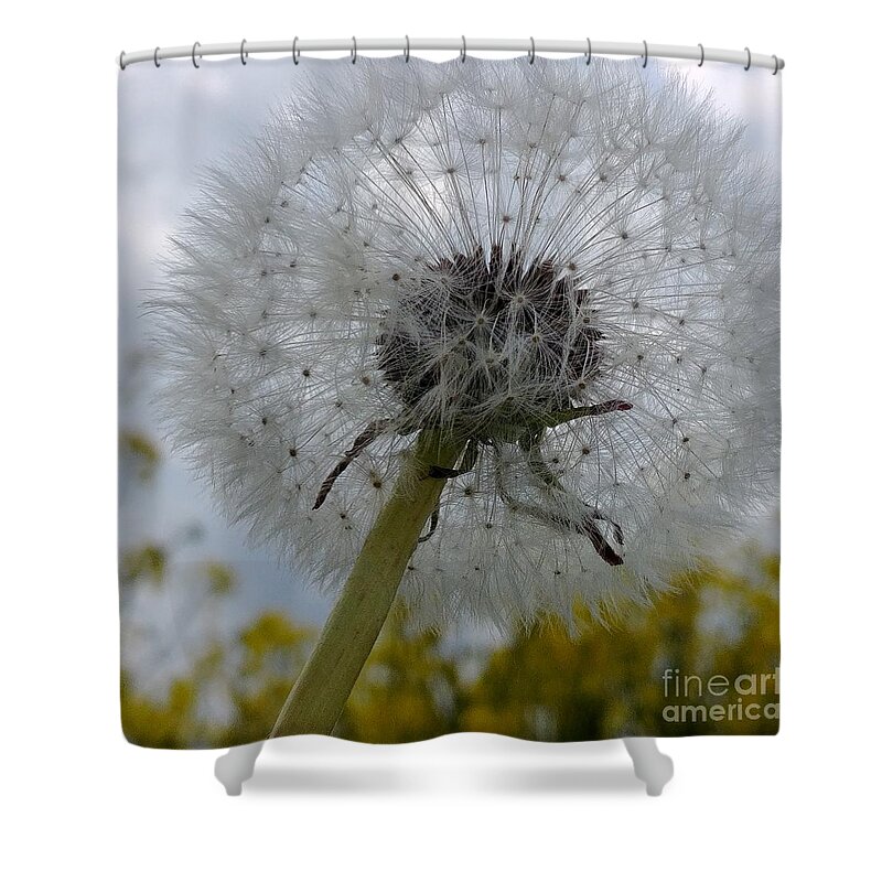 Flower Shower Curtain featuring the photograph Serenity by Karin Ravasio