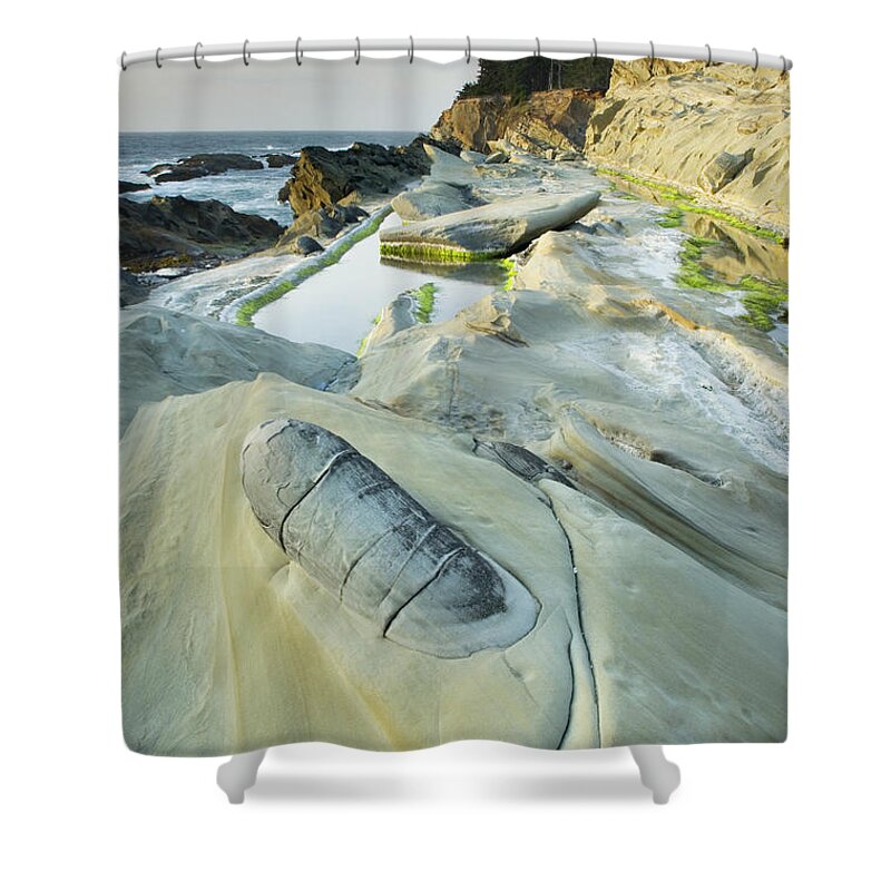 Tranquility Shower Curtain featuring the photograph Shore Acres State Park Oregon #1 by Alan Majchrowicz