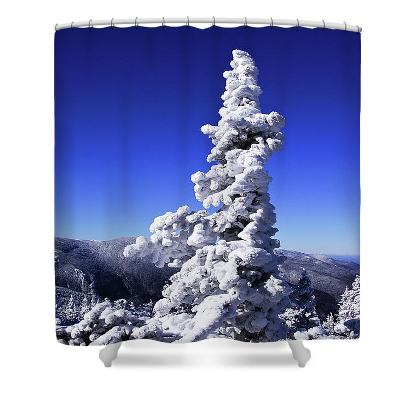 Jackson Shower Curtain featuring the photograph Snow Tree #1 by Rockybranch Dreams