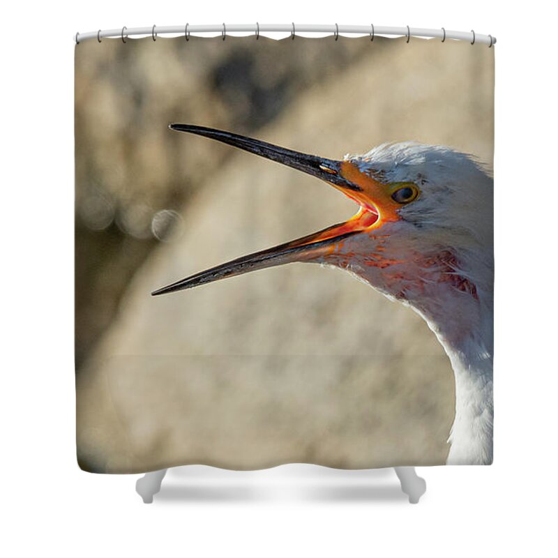 Snowy White Egret Shower Curtain featuring the photograph Snowy White Egret 5 #1 by Rick Mosher