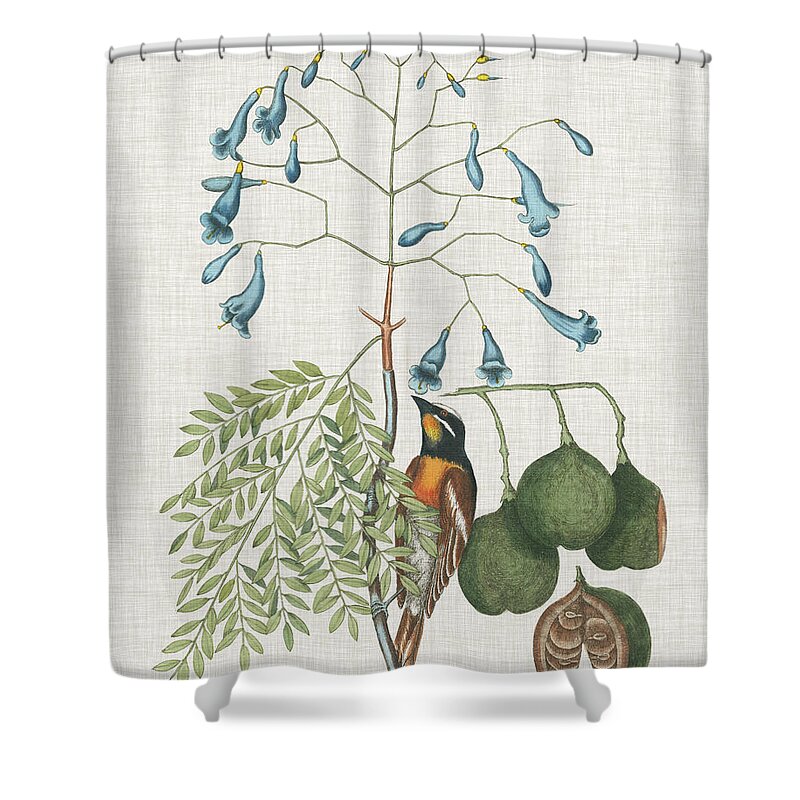 Animals Shower Curtain featuring the painting Studies In Nature II #1 by Mark Catesby