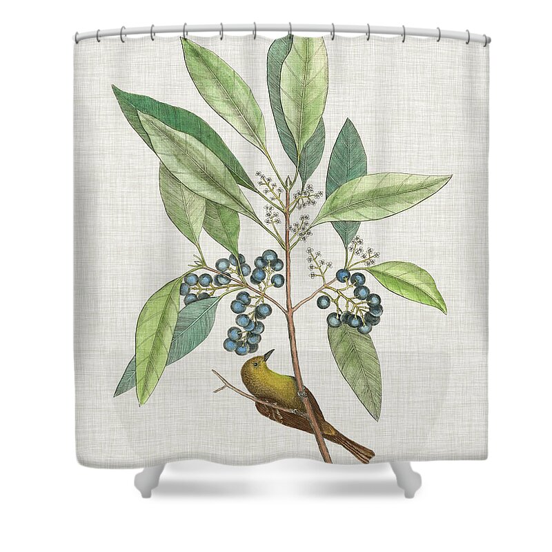 Animals Shower Curtain featuring the painting Studies In Nature Iv #1 by Mark Catesby