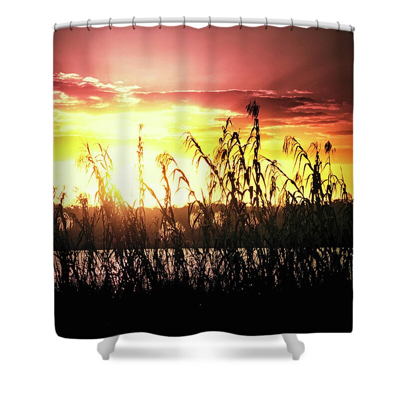Sunlight Shower Curtain featuring the photograph Bright sunset on the lake by Tatiana Travelways