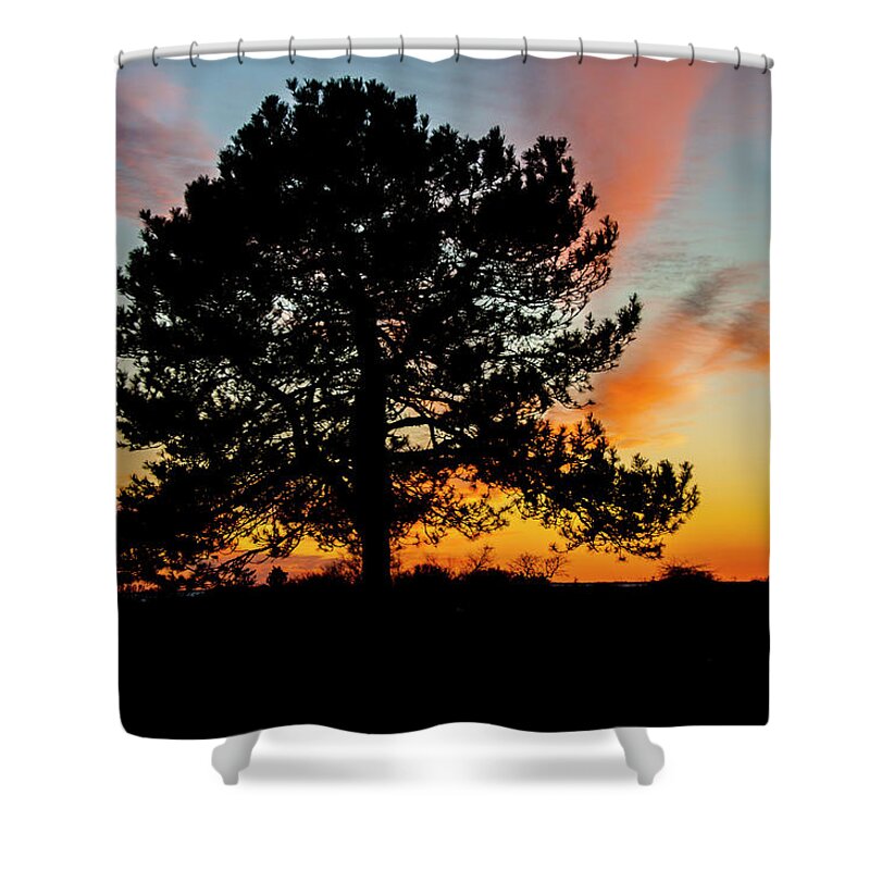 Tree Shower Curtain featuring the photograph Sunset Silhouette by Cathy Kovarik