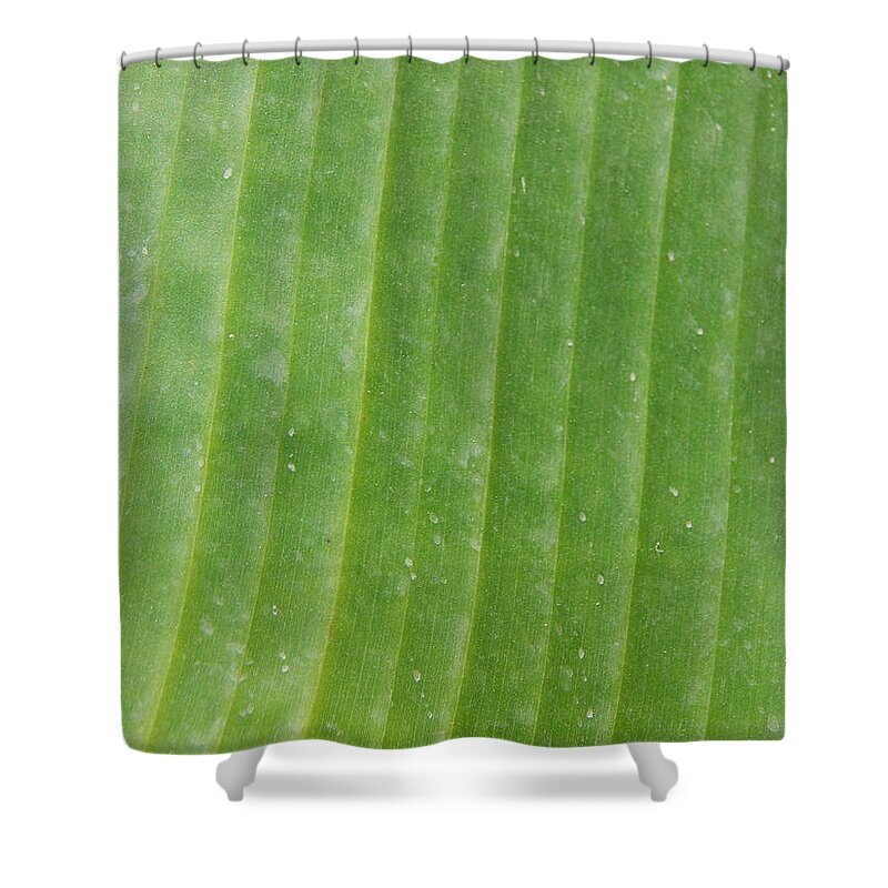 Tree Shower Curtain featuring the photograph Texture nature tree flowers #1 by Oleg Prokopenko