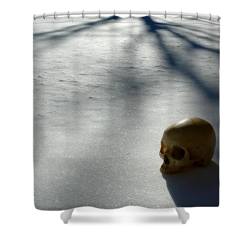  Shower Curtain featuring the photograph The Dead of Winter #1 by Rein Nomm