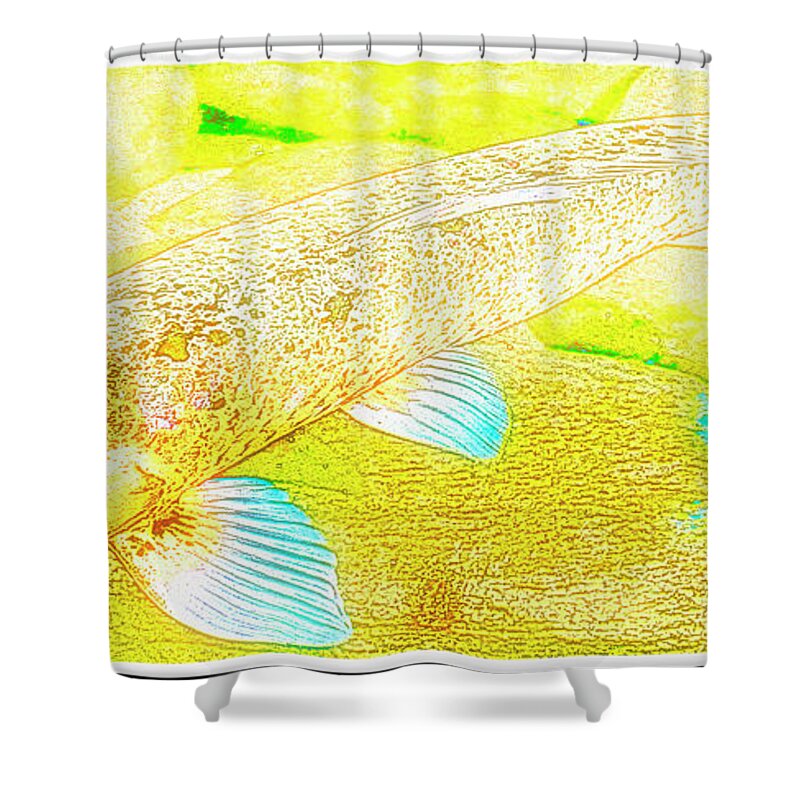 Koi Shower Curtain featuring the photograph The Koi #1 by A Macarthur Gurmankin