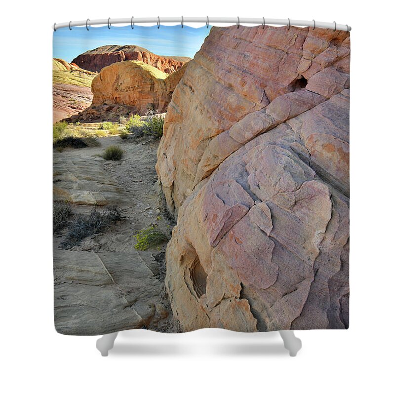 Valley Of Fire State Park Shower Curtain featuring the photograph The Many Colors of Valley of Fire State Park #1 by Ray Mathis