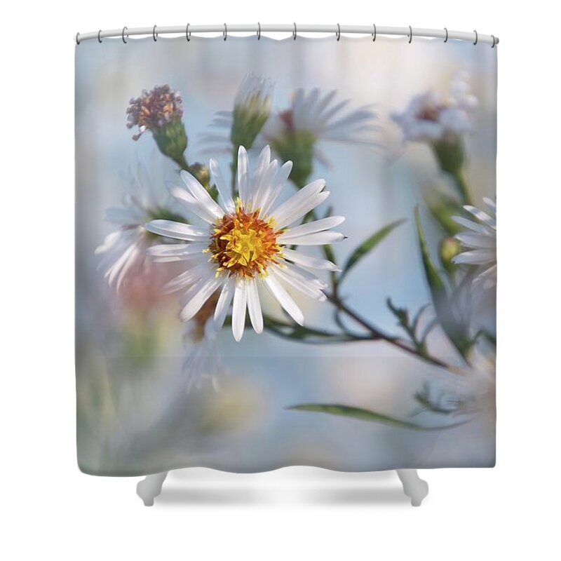 Flower Shower Curtain featuring the photograph Touches 4 by Jaroslav Buna