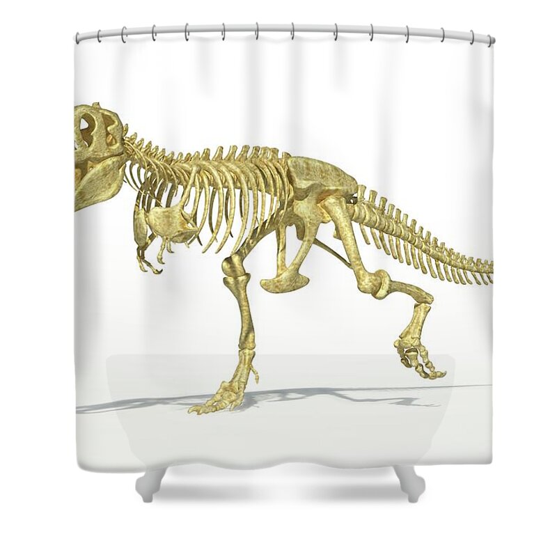 Prehistoric Era Shower Curtain featuring the digital art Tyrannosaurus Rex Skeleton, Artwork #1 by Leonello Calvetti
