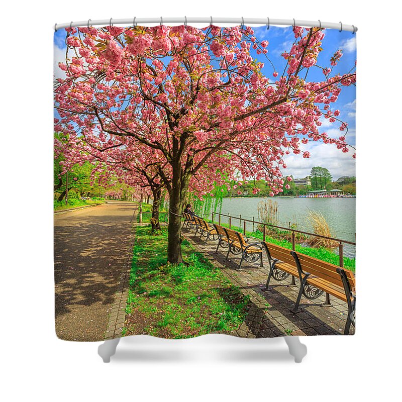 Ueno Park Shower Curtain featuring the photograph Ueno Park cherry blossom #1 by Benny Marty