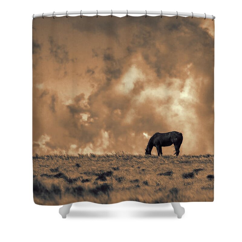 Mustangs Shower Curtain featuring the photograph Wild and Free #1 by Jim Garrison