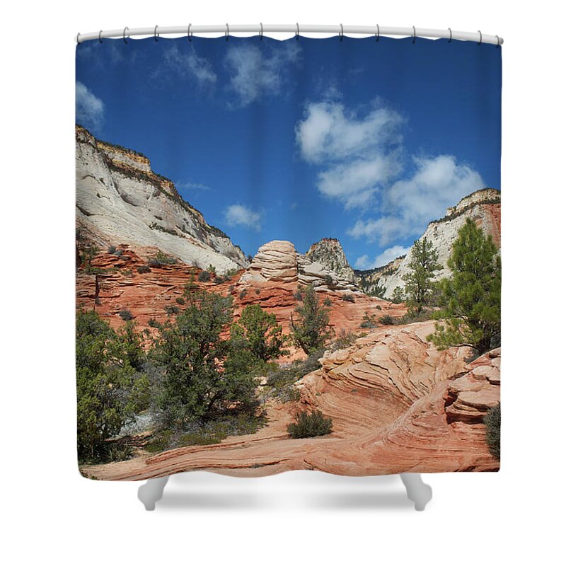 Scenics Shower Curtain featuring the photograph Zion Canyon Natural Beauty #1 by Mitch Diamond