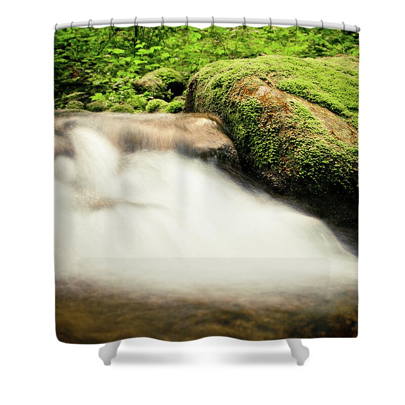 Tranquility Shower Curtain featuring the photograph Nature Environment #10 by Christopher Kimmel