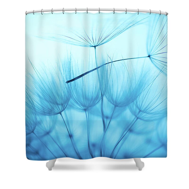 Outdoors Shower Curtain featuring the photograph Dandelion Seed #11 by Jasmina007