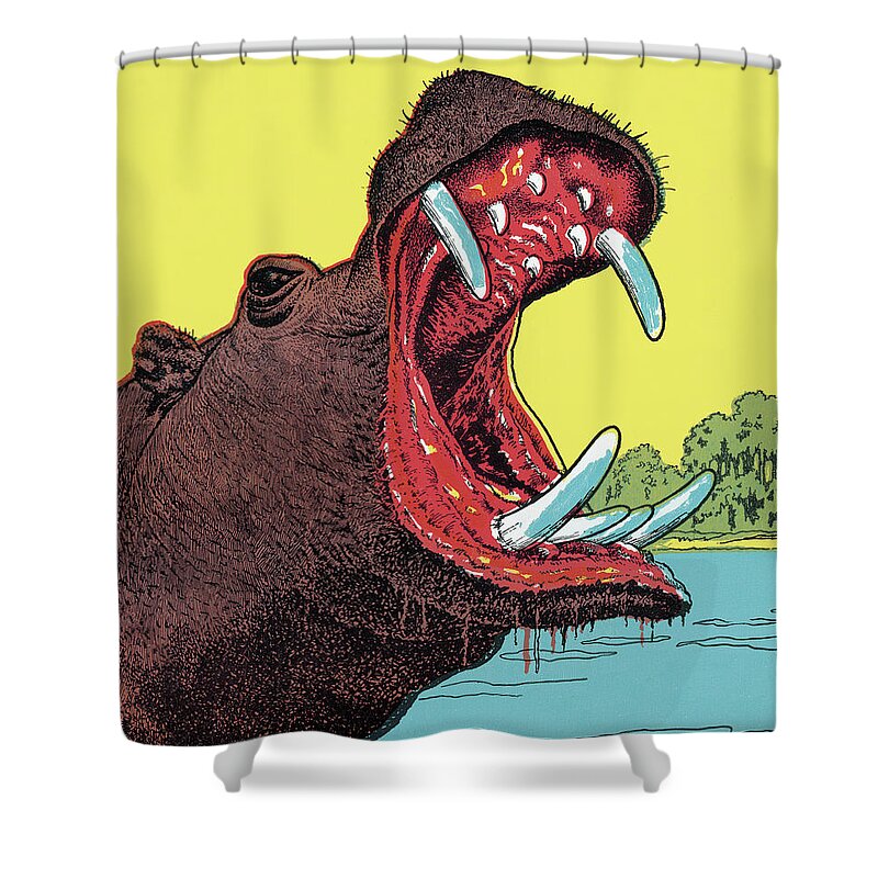 Africa Shower Curtain featuring the drawing Hippopotamus #11 by CSA Images