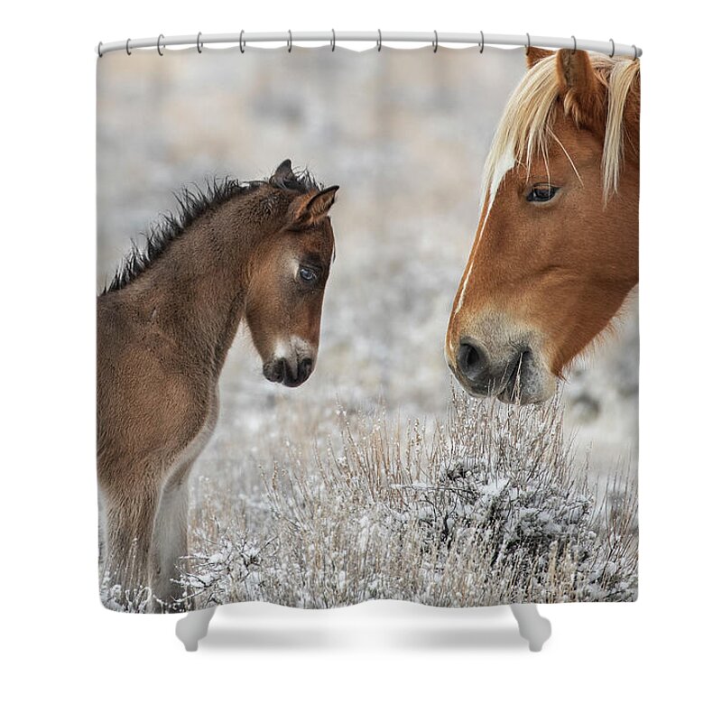  Shower Curtain featuring the photograph 1dx20783 by John T Humphrey