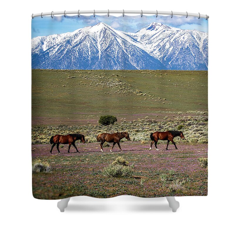  Shower Curtain featuring the photograph 1dx24146 by John T Humphrey