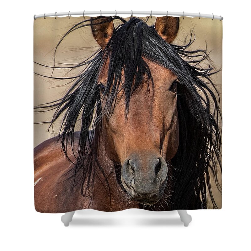  Shower Curtain featuring the photograph 1dx26438 by John T Humphrey