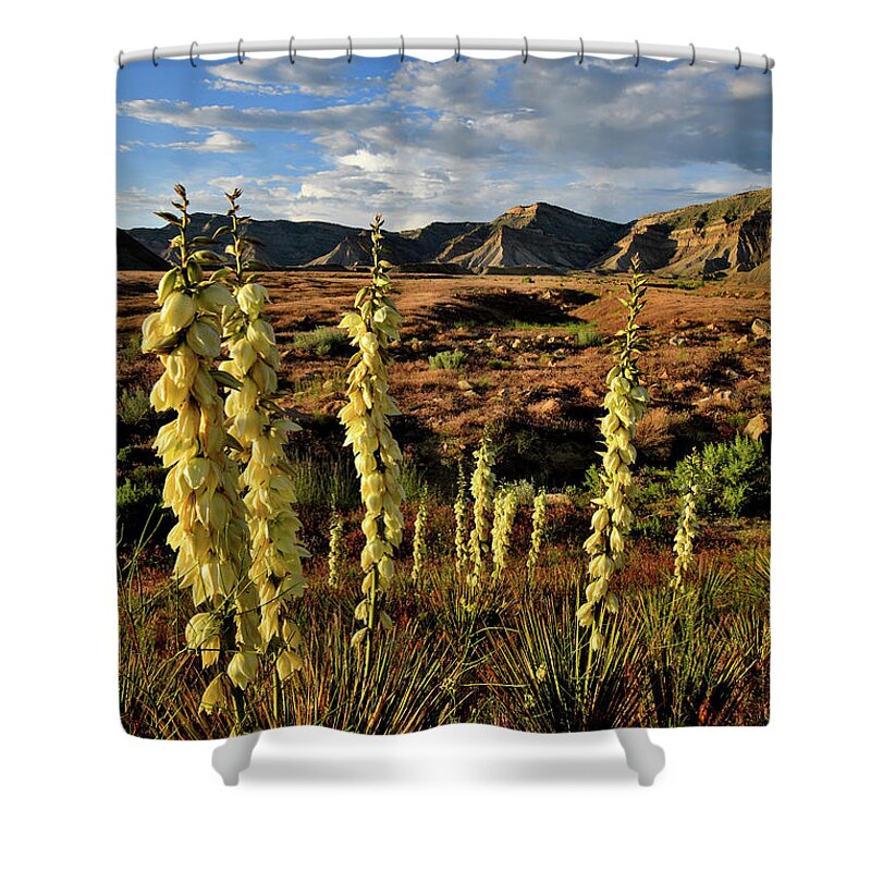 Book Cliffs Shower Curtain featuring the photograph Beautiful Evening at Book Cliffs #2 by Ray Mathis