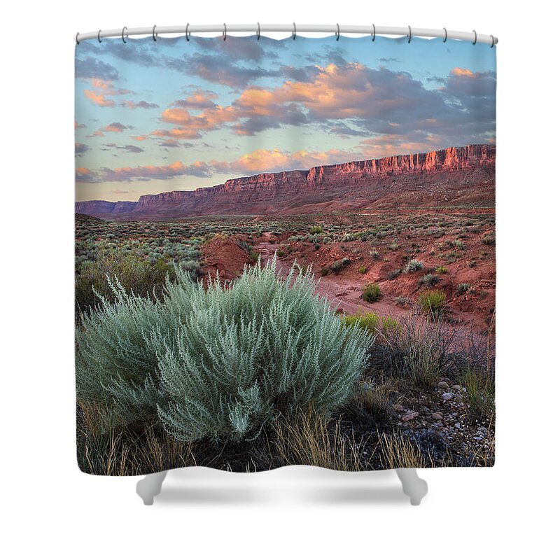 00574877 Shower Curtain featuring the photograph Desert And Cliffs, Vermilion Cliffs Nm by Tim Fitzharris