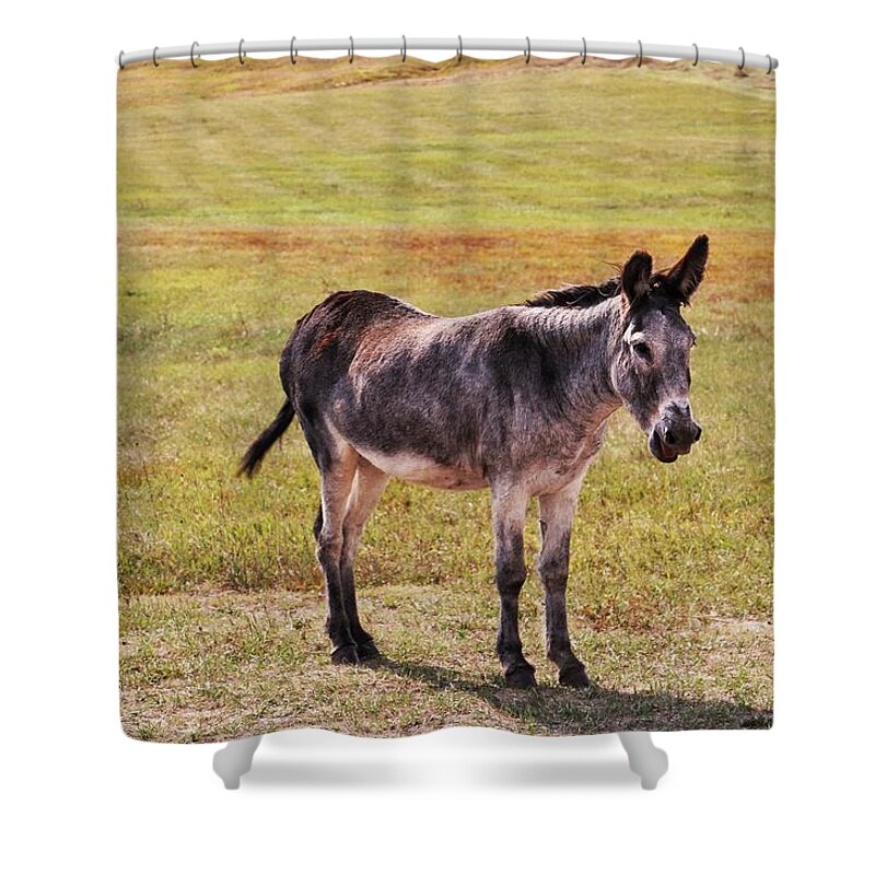 Donkey At Custer Shower Curtain featuring the photograph Donkey at Custer State Park #2 by Susan Jensen