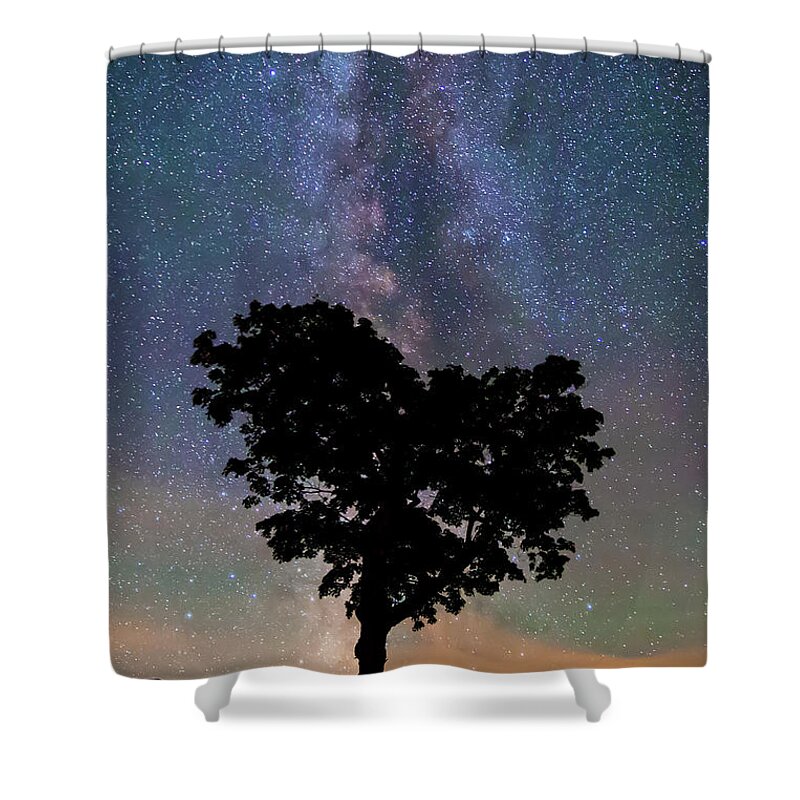 Heart Shower Curtain featuring the photograph Heart Tree Milky Way #2 by White Mountain Images