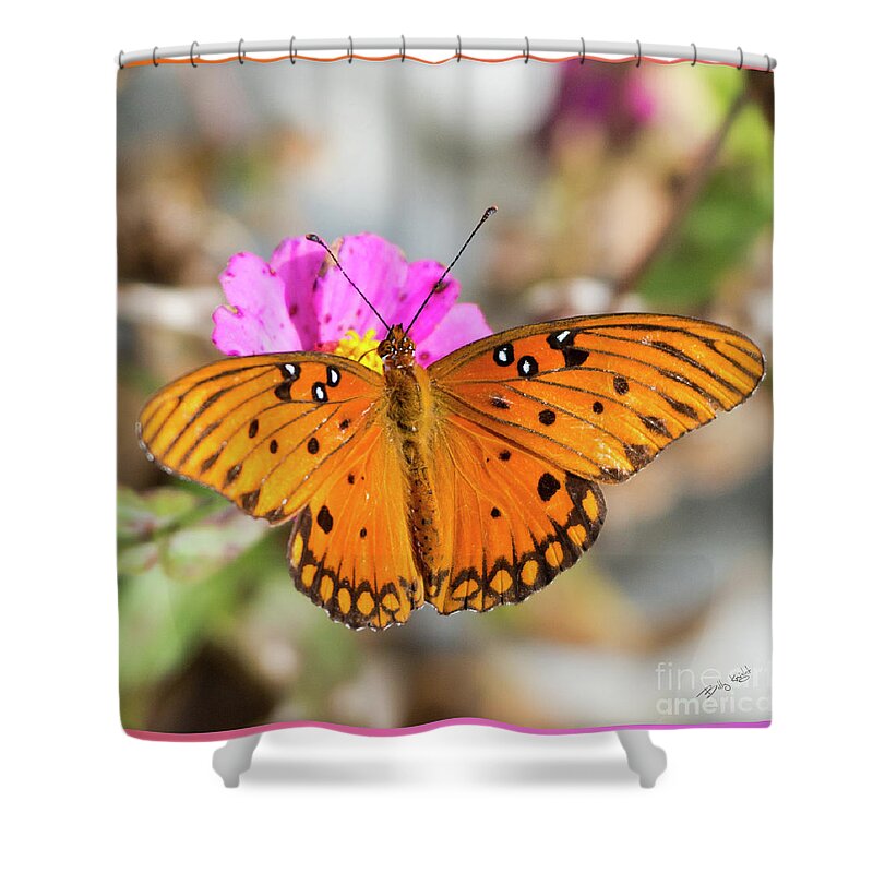 Butterfly Shower Curtain featuring the photograph Hold That Pose #2 by Billy Knight