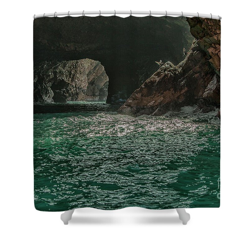  Inca Terns Shower Curtain featuring the photograph Inside a cave by Patricia Hofmeester