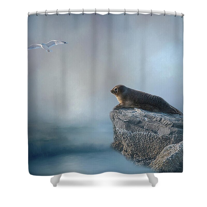 Seal Shower Curtain featuring the photograph On The Rocks by Cathy Kovarik