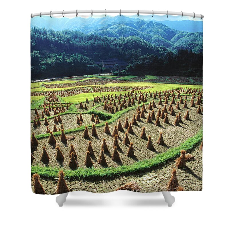 Shadow Shower Curtain featuring the photograph Ricescapes, China, North-east Asia #2 by Richard I'anson