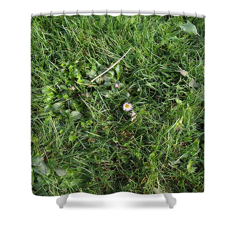 Green Shower Curtain featuring the photograph Terrain of the surface of the forest lake #2 by Oleg Prokopenko