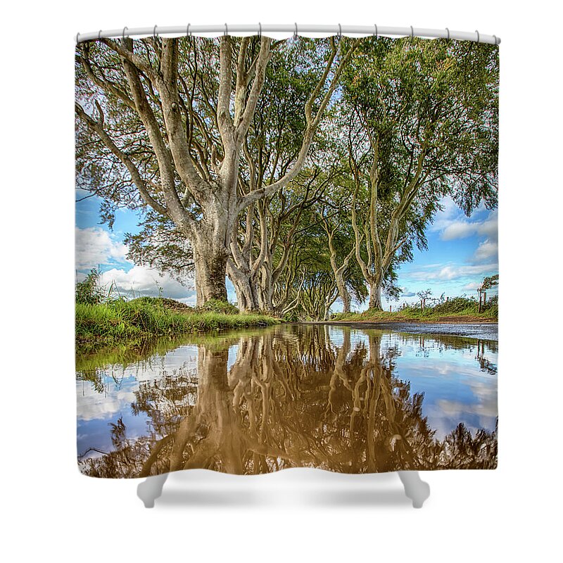 Chriscousins Shower Curtain featuring the photograph The Dark Hedges #2 by Chris Cousins
