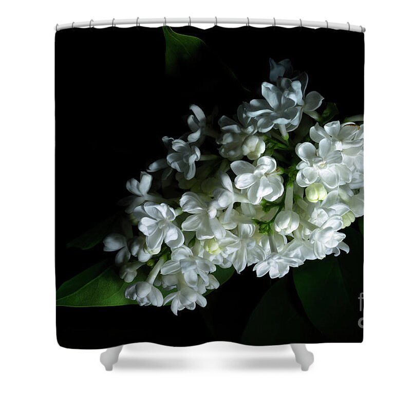 White Lilac Shower Curtain featuring the photograph White Lilac #3 by Ann Garrett