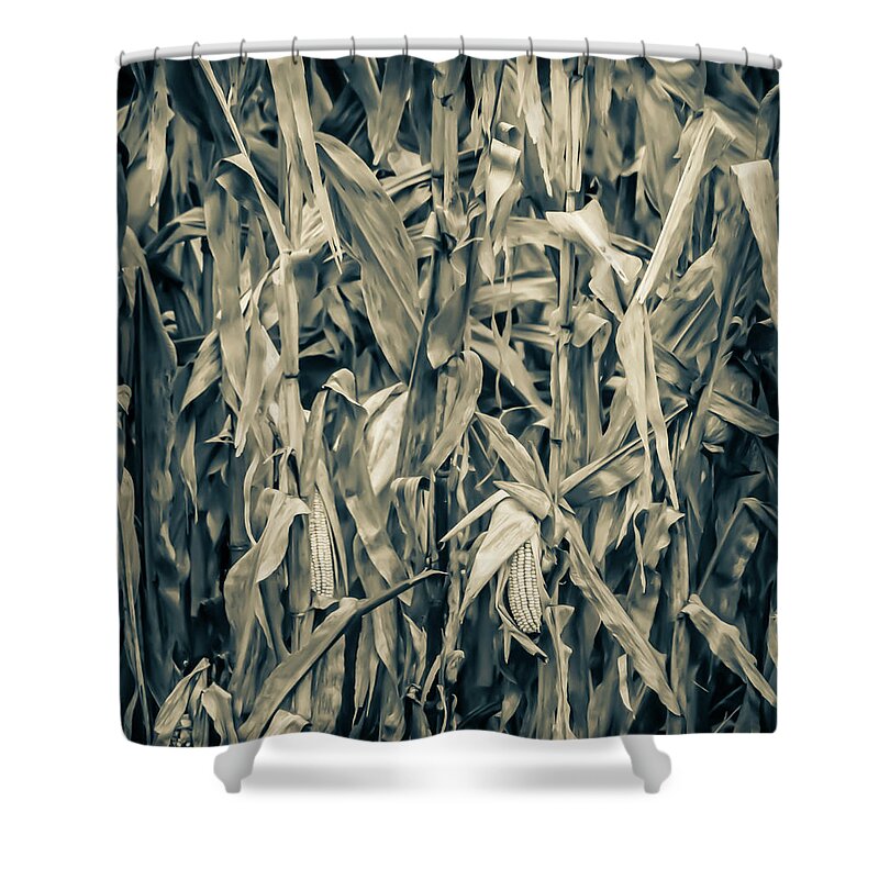 Corn Shower Curtain featuring the photograph 2018 Corn by Troy Stapek