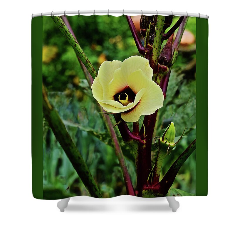 Hibiscus Shower Curtain featuring the photograph 2019 August at the Gardens Hibiscus in the Herb Garden by Janis Senungetuk