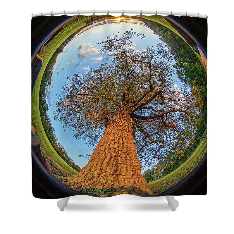 210 Shower Curtain featuring the photograph 210 degree Mount Laurel Tree by Louis Dallara