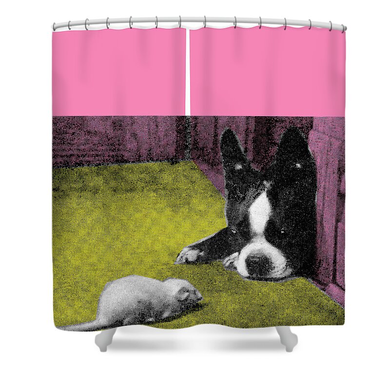 Activity Shower Curtain featuring the drawing Boston Terrier #28 by CSA Images