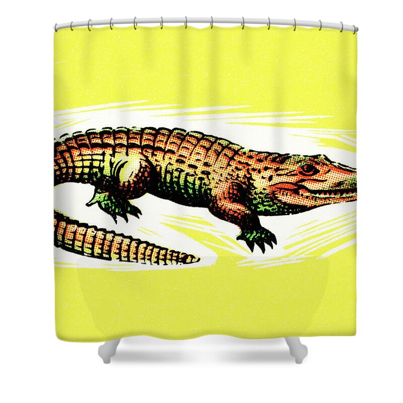 Alligator Shower Curtain featuring the drawing Alligator #3 by CSA Images